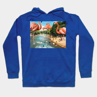 Flamingo shore Hoodie